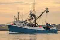 Purse seiner προς πώληση