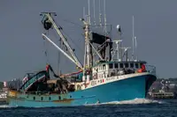 Purse seiner προς πώληση
