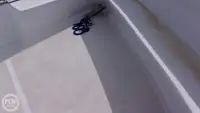 Υποστήριξη καταδύσεων προς πώληση