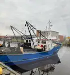 Φορέας ζωντανών ψαριών προς πώληση