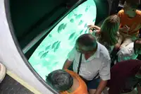 Υποβρύχιο προς πώληση