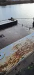 Ανελκυστήρας προς πώληση