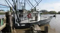Trawler προς πώληση