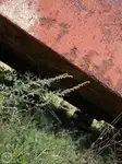 Αμφοβόλο προς πώληση