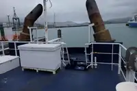 Ρυμουλκό πλοίο προς πώληση