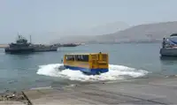 Αμφίβιο προς πώληση