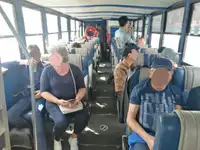 Αμφίβιο προς πώληση
