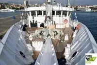 Κρουαζιερόπλοιο προς πώληση