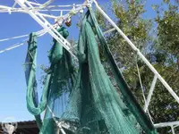 Τράτα προς πώληση