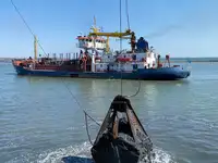 Ανελκυστήρας προς πώληση
