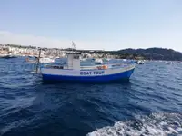 Τράτα προς πώληση