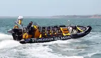 Άκαμπτο φουσκωτό σκάφος προς πώληση