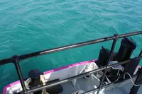 General Cargo/Multi-purpose προς πώληση