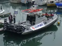 Περιπολικό σκάφος προς πώληση