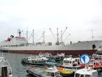 Ψυκτικό πλοίο προς πώληση