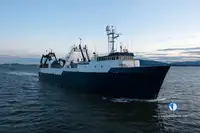Trawler προς πώληση