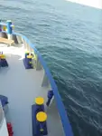 Ψυκτικό πλοίο προς πώληση