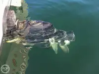 Τράτα προς πώληση