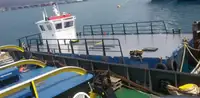 Εργατικά πλοία προς πώληση
