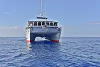 Ρυμουλκό πλοίο προς πώληση