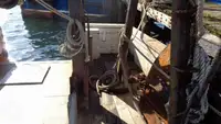 Τράτα προς πώληση