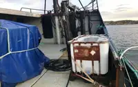 Τράτα προς πώληση