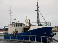 Trawler προς πώληση