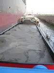 Αμφοβόλο προς πώληση