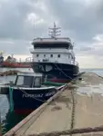 Purse seiner προς πώληση