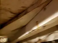 Πλοίο φέρι μποτ προς πώληση