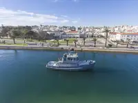 Ρυμουλκό πλοίο προς πώληση