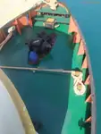 Ρυμουλκό πλοίο προς πώληση