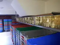 Τράτα προς πώληση