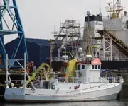 Πλοίο μεταφοράς εμπορευματοκιβωτίων προς πώληση