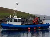 Σκάφη εργασίας προς πώληση