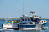 Purse seiner προς πώληση
