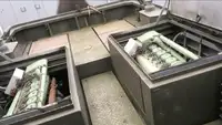 Ρυμουλκό πλοίο προς πώληση