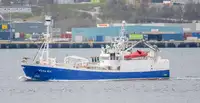 Purse seiner προς πώληση