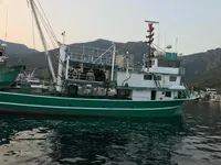 Πλοίο περιμετρικής αλιείας προς πώληση