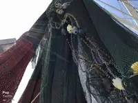 Τράτα προς πώληση