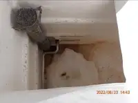 Πλοίο περιμετρικής αλιείας προς πώληση