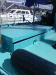 Τράτα προς πώληση