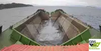 Αμφοβόλο προς πώληση