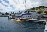 Ρυμουλκό πλοίο προς πώληση