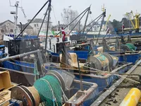 Πλοίο μεταφοράς ζωντανών ψαριών προς πώληση