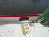 Τράτα προς πώληση
