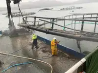 Εργατικά πλοία προς πώληση