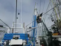 Τράτα προς πώληση