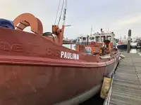 Αμφοβόλο προς πώληση