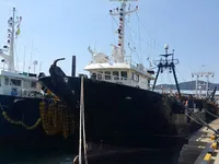 Τράτα προς πώληση